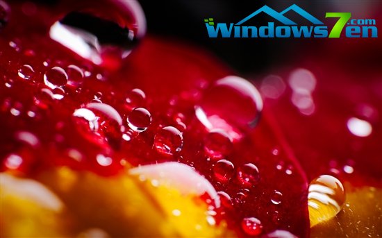 微软新推三款精美Windows 7主题