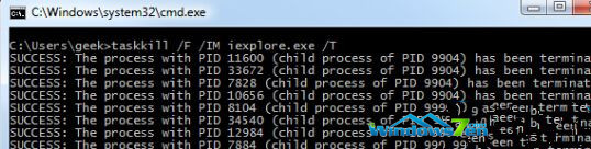 输入代码taskkill /F /IM iexplore.exe